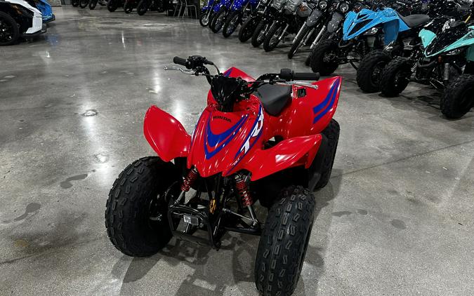 2024 Honda TRX90X