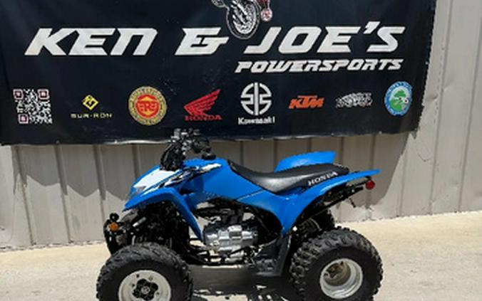 2019 Honda TRX 250X