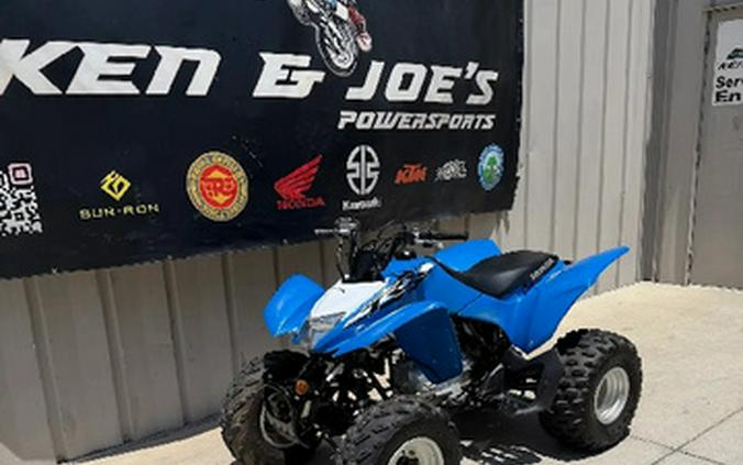2019 Honda TRX 250X