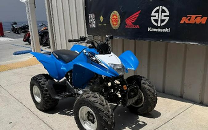 2019 Honda TRX 250X