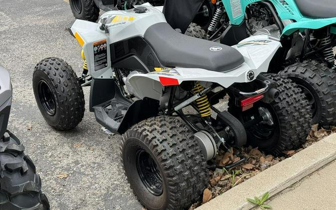 2024 Can-Am® Renegade 110 EFI