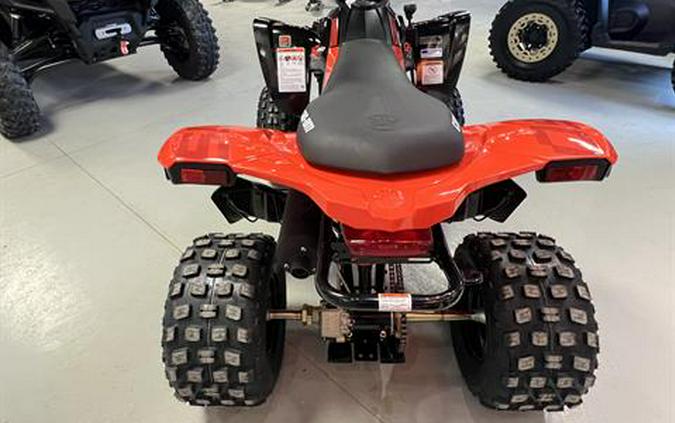 2026 Can-Am DS 250