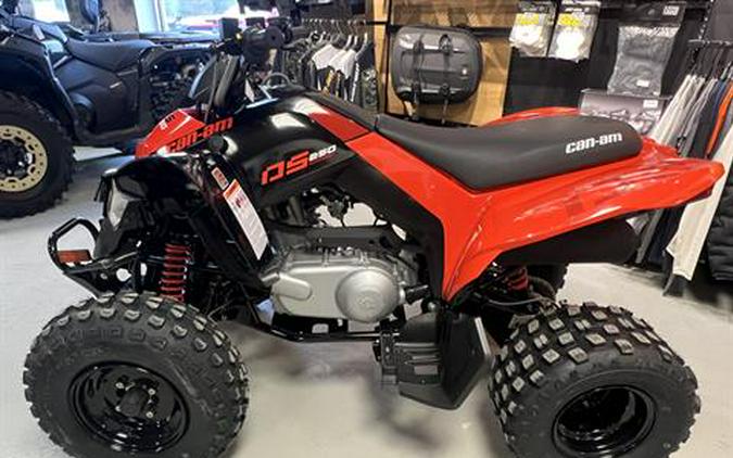 2026 Can-Am DS 250