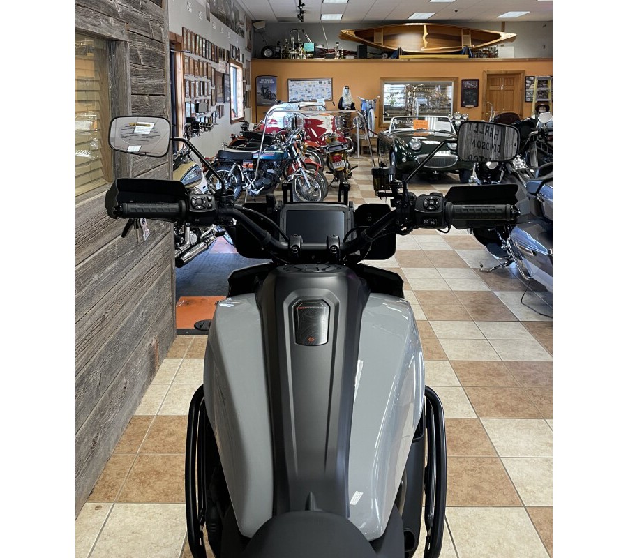 2024 Harley-Davidson Pan America™ 1250 Billiard Gray w/Laced Wheels