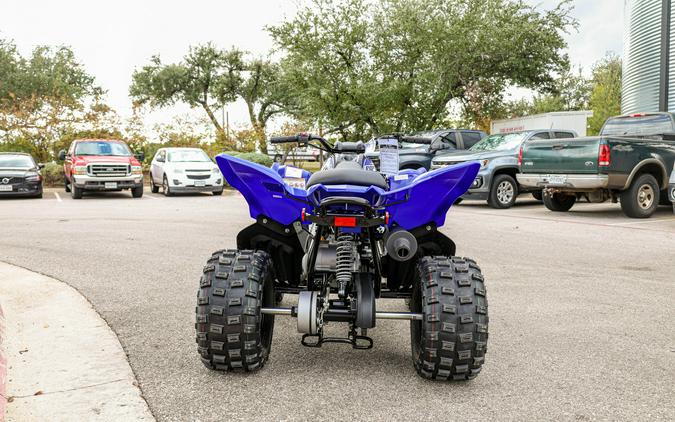 2026 YAMAHA RAPTOR 110