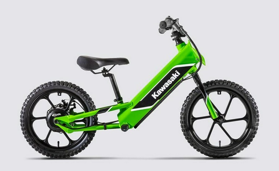 2023 Kawasaki ELEKTRODE