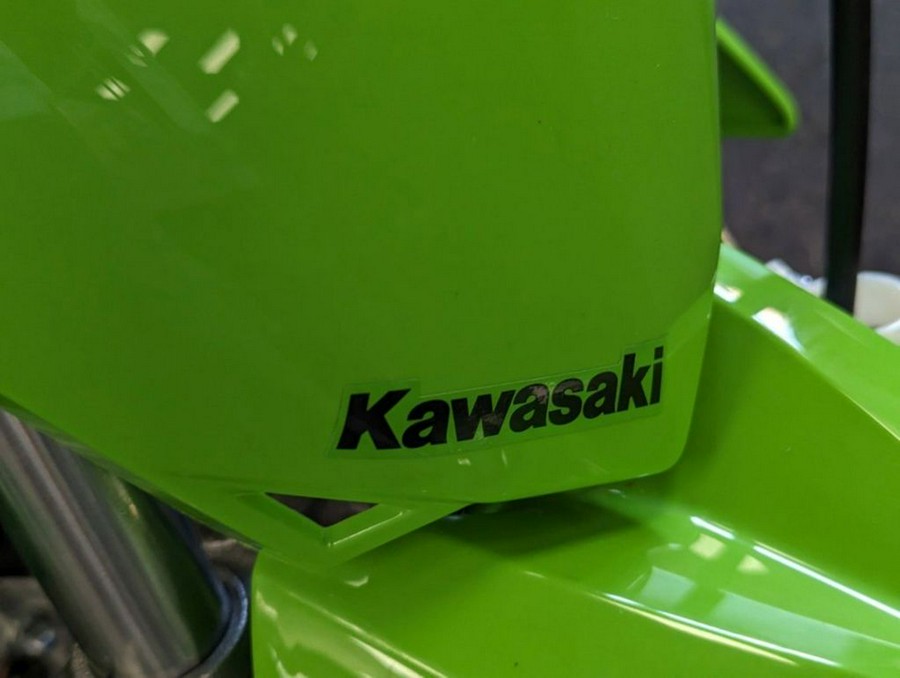 2024 Kawasaki KLX® 110R