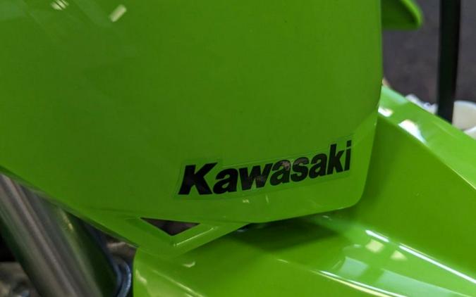 2024 Kawasaki KLX® 110R