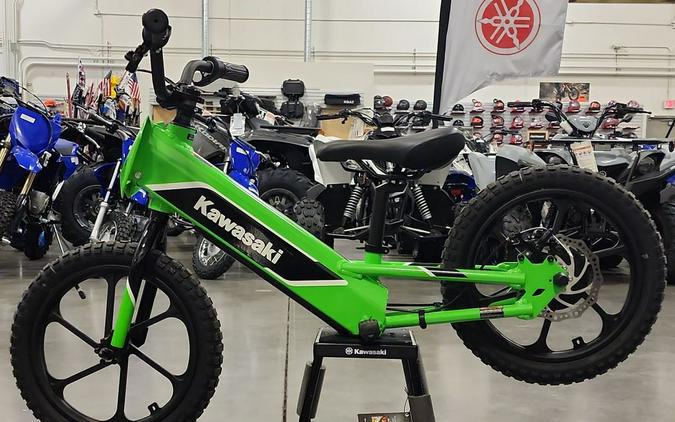 2023 Kawasaki Elektrode™