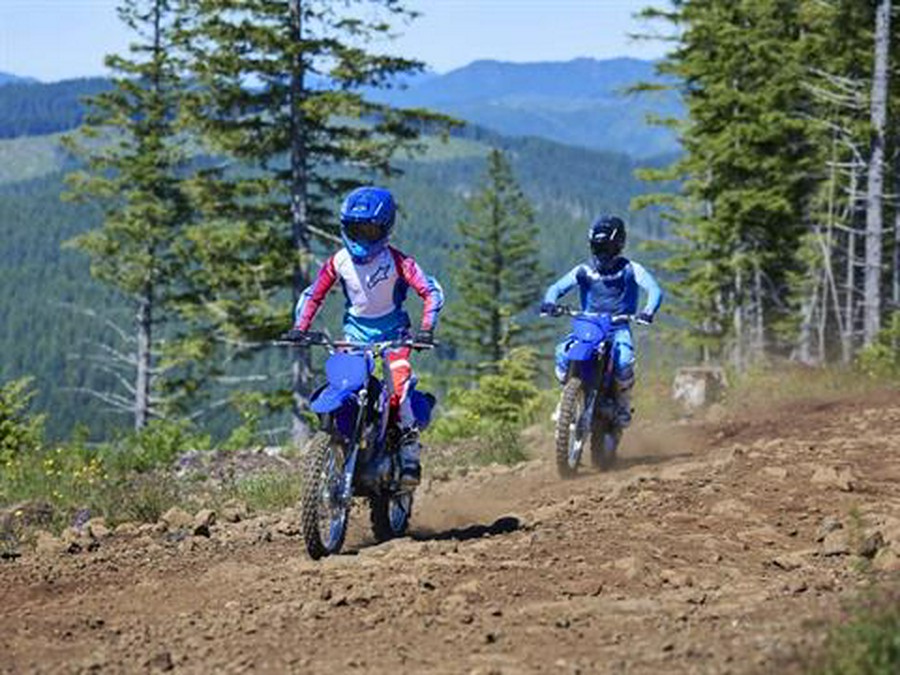 2026 Yamaha TT-R125LE