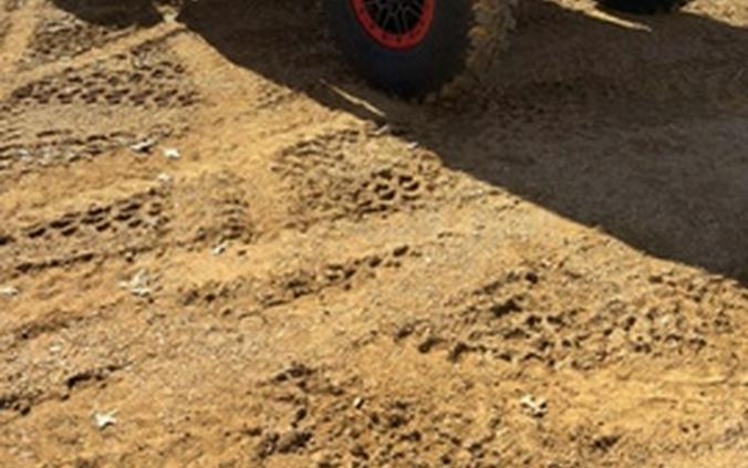 2025 Can-Am Maverick X3 X Rs Turbo RR With Smart-Shox Fiery Re