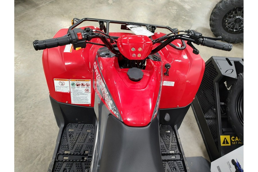2025 Yamaha Grizzly 110
