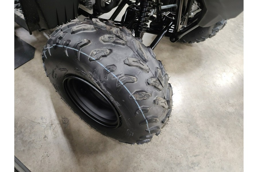 2025 Yamaha Grizzly 110