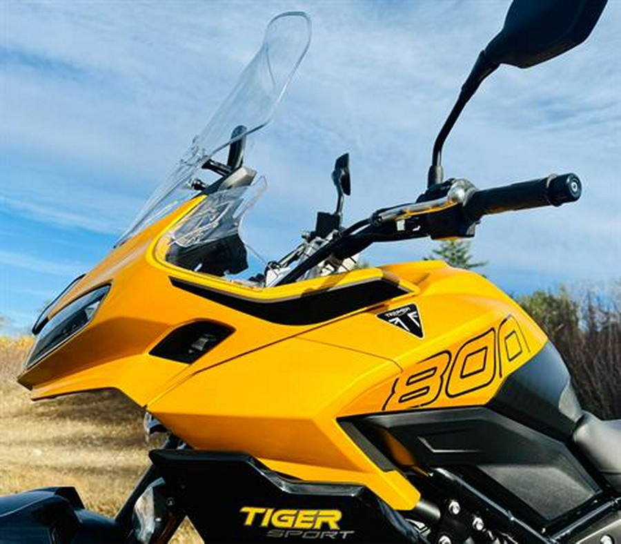 2026 Triumph Tiger Sport 800