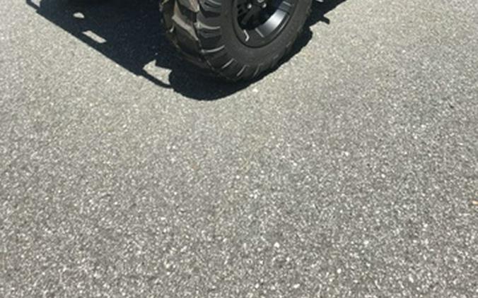 2025 Yamaha Kodiak 700 EPS