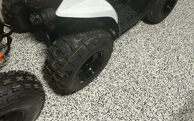 2026 Kawasaki KFX® 90