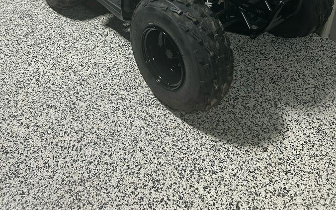 2026 Kawasaki KFX® 90
