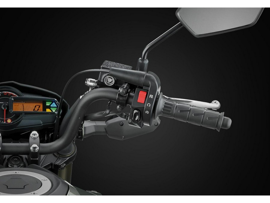 2026 Kawasaki Z125 Pro