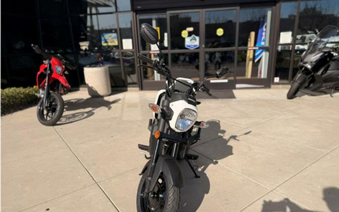 2026 Honda Navi White Blue Metallic