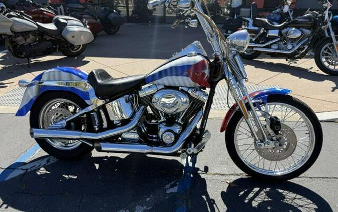 2005 FXSTSI Softail Springer Custom Print