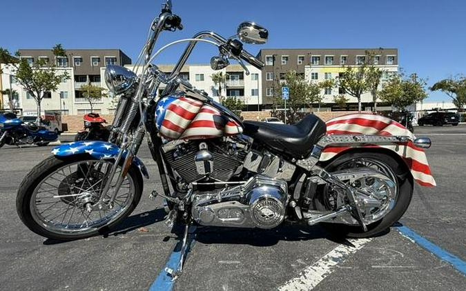 2005 FXSTSI Softail Springer Custom Print