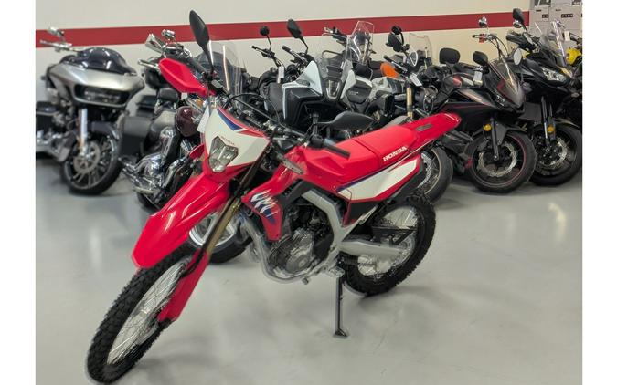2025 CRF300L ABS - Honda