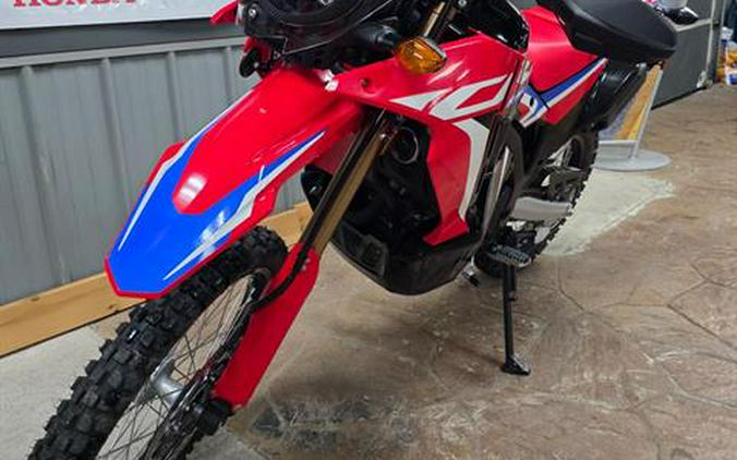 2024 Honda CRF300L Rally