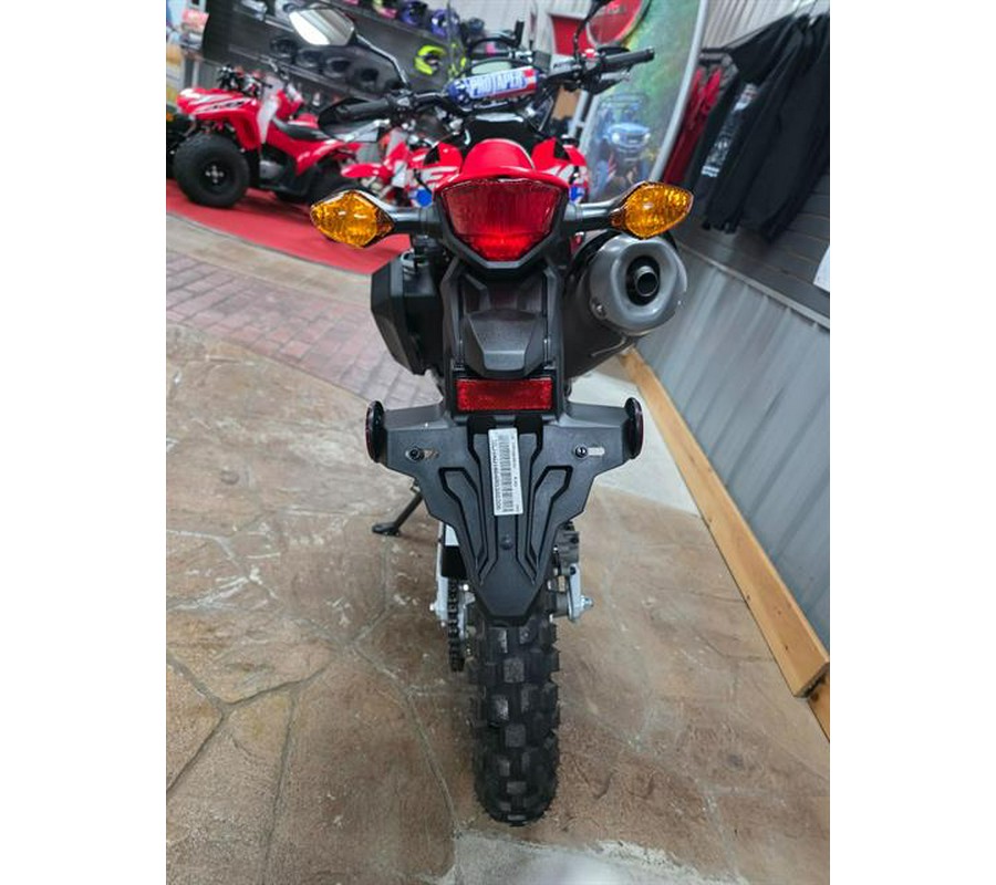 2024 Honda CRF300L Rally