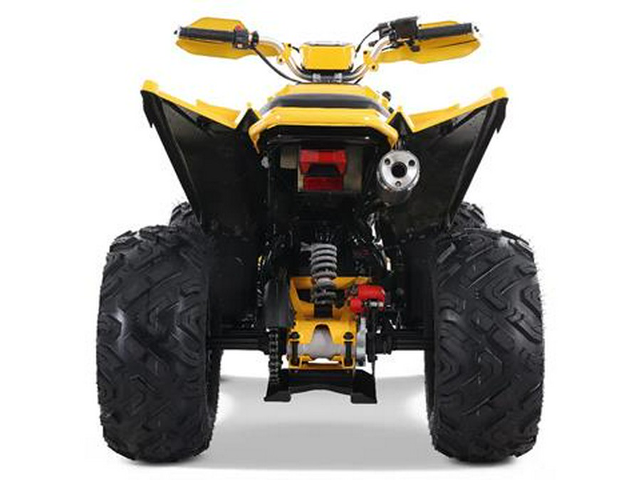 2025 Denago Powersports Daytona 250 FI