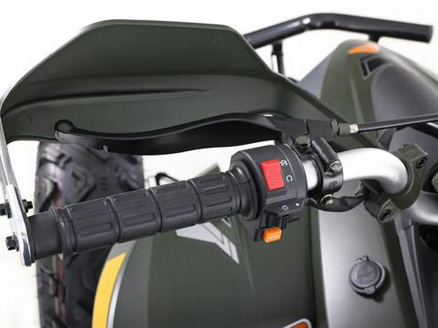 2025 Denago Powersports Daytona 250 FI