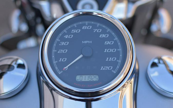 2020 Harley-Davidson Freewheeler