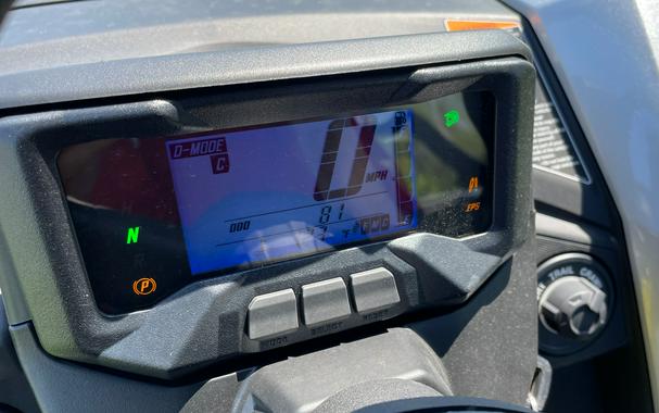 2024 Yamaha Wolverine RMAX2 1000 Limited Edition