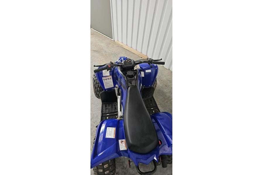 2024 Raptor 110 - Yamaha