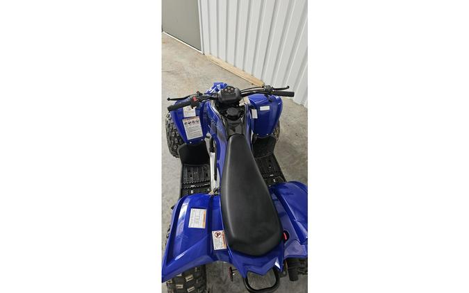 2024 Raptor 110 - Yamaha