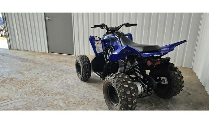 2024 Raptor 110 - Yamaha