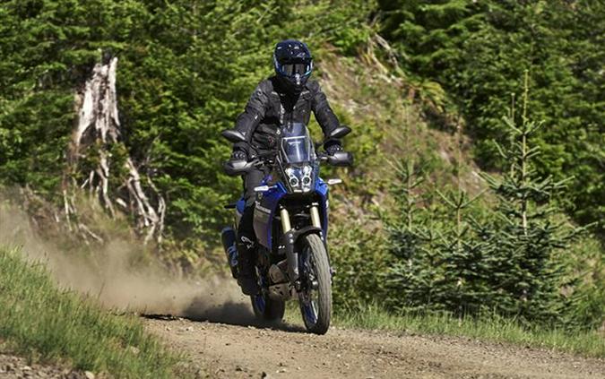 2024 Yamaha Tenere 700: First Ride On The Upgraded Adventurer