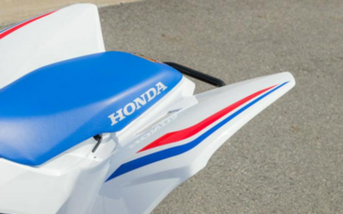 2026 Honda TRX 250X