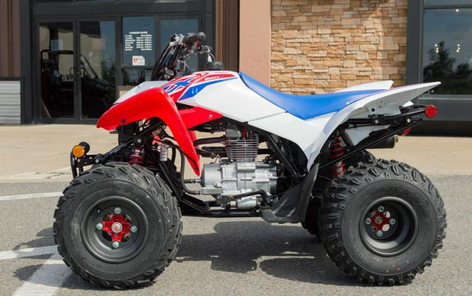 2026 Honda TRX 250X