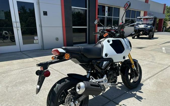 2024 Honda Grom