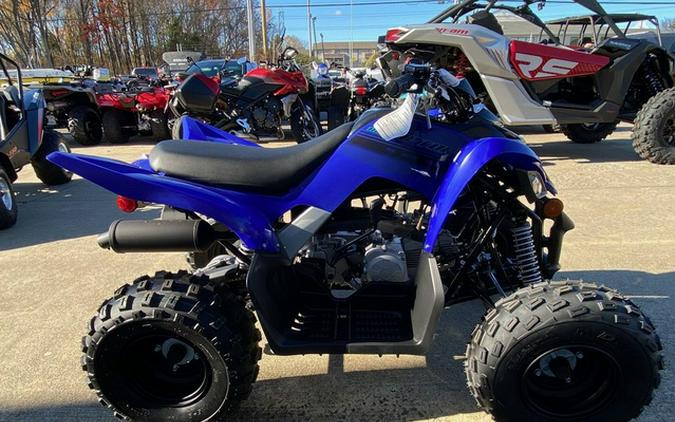 2026 Yamaha Raptor 110