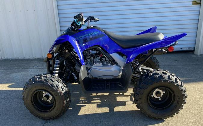 2026 Yamaha Raptor 110