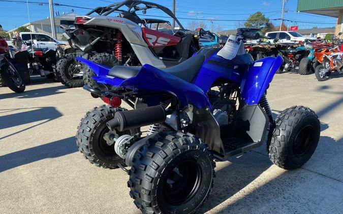 2026 Yamaha Raptor 110