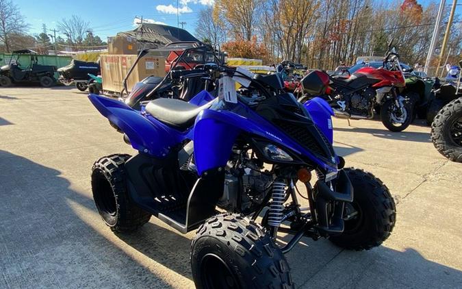 2026 Yamaha Raptor 110