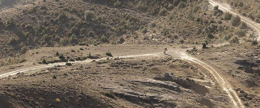 2025 KTM 390 Adventure X, White + *Promo Financing!