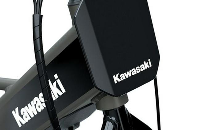 2026 Kawasaki Elektrode 20FS - Gray