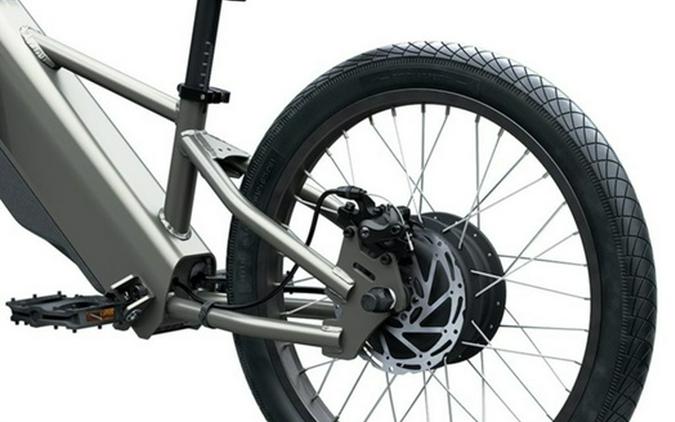 2026 Kawasaki Elektrode 20FS - Gray