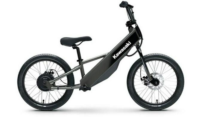 2026 Kawasaki Elektrode 20FS - Gray