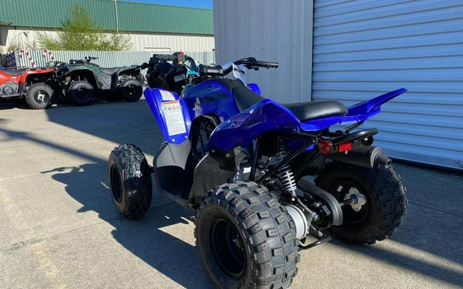 2026 Yamaha Raptor 110