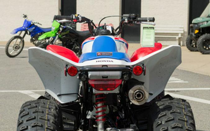2026 Honda TRX 250X
