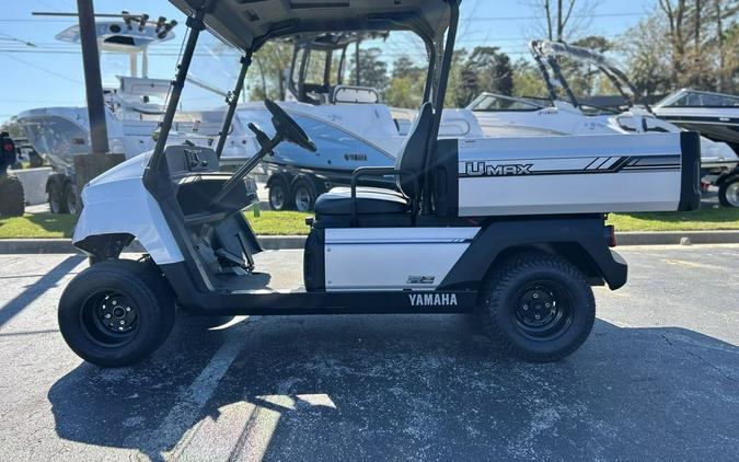 2024 Yamaha UMAX 2 EFI